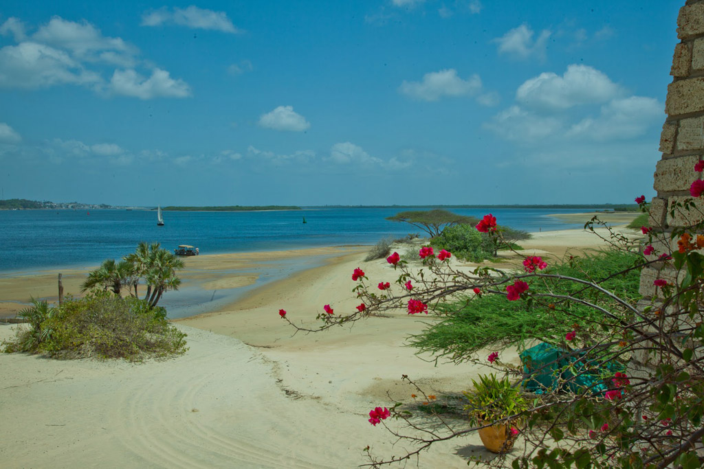 Пляж Ламу в Кении, фото 9