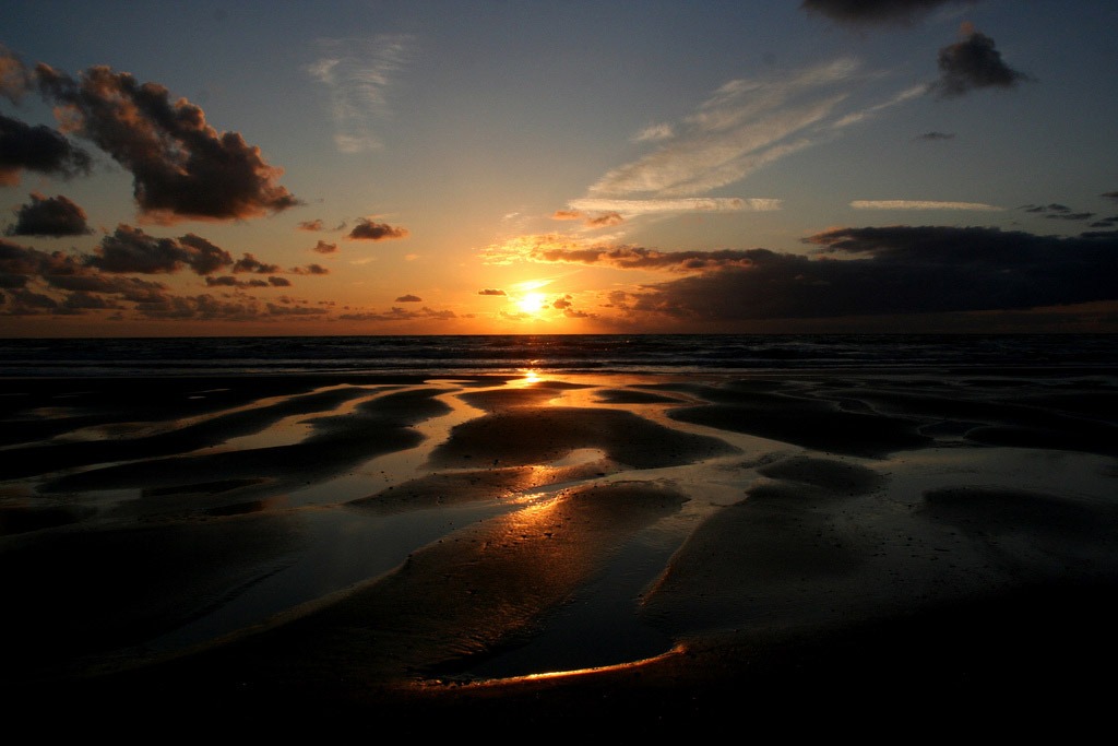 Пляж Тексель в Нидерландах, фото 2