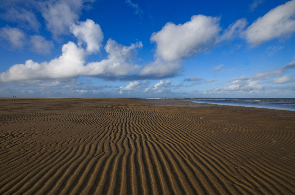 Пляж Тексель в Нидерландах, фото 7