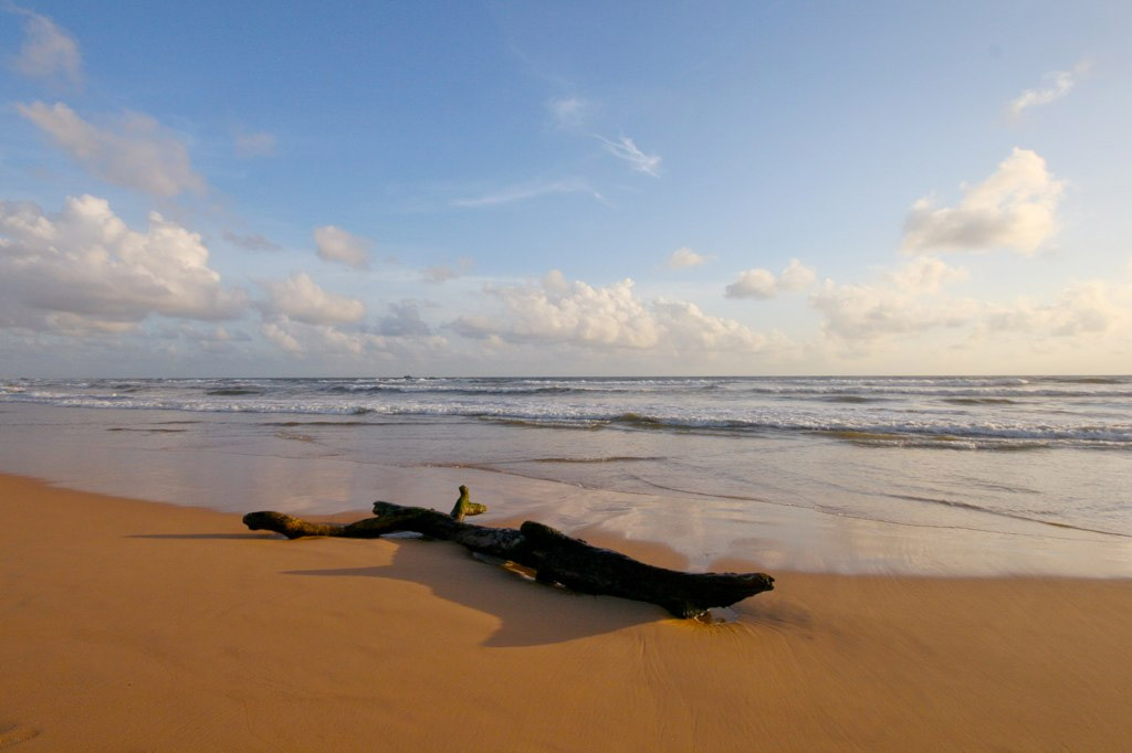Пляж Бентота в Шри-Ланке, фото 9