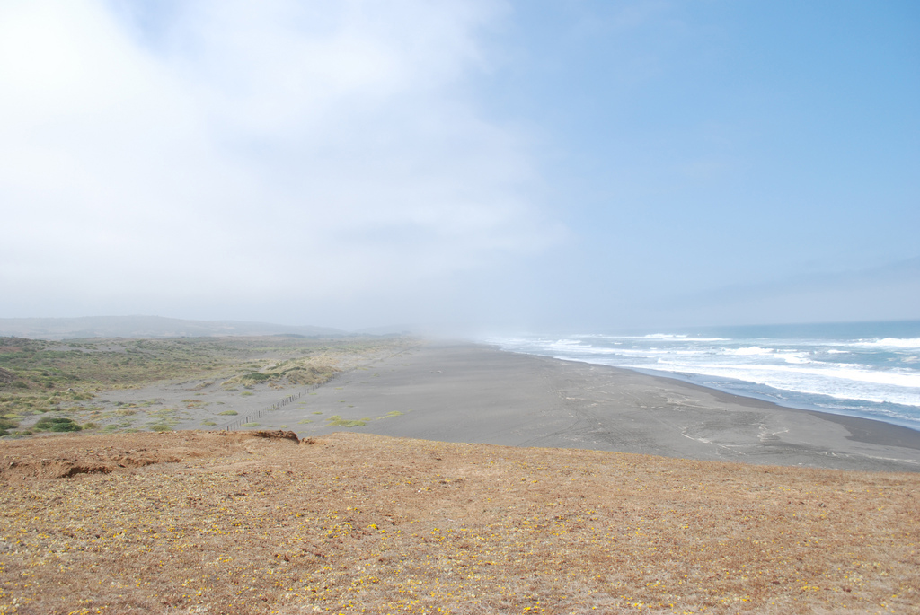 Пляж Пичилему в Чили, фото 5