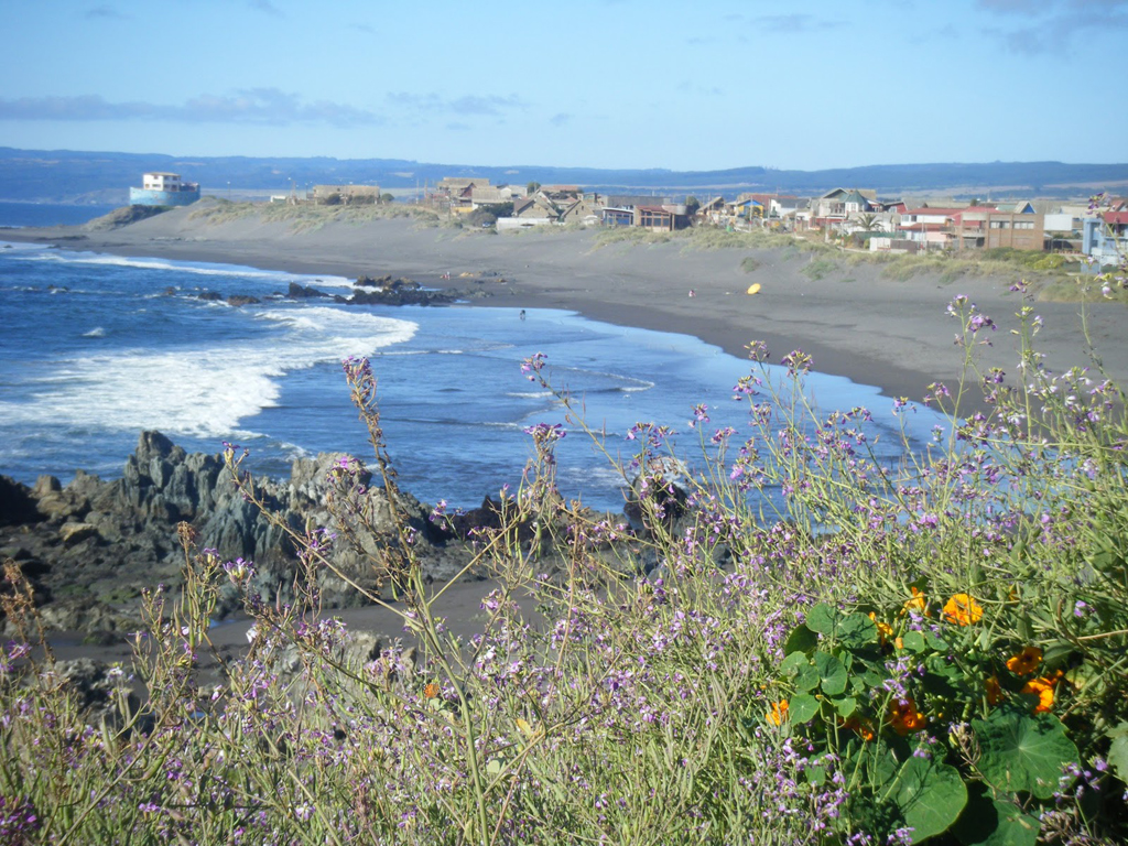 Пляж Пичилему в Чили, фото 11