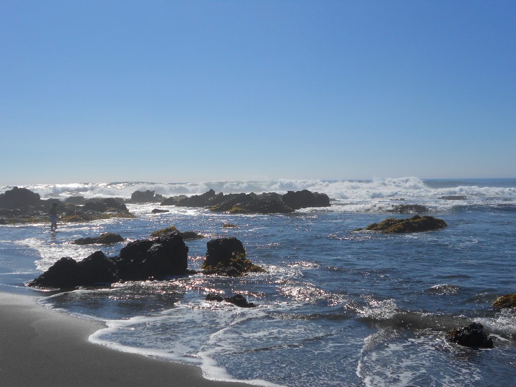 Пляж Пичилему в Чили, фото 13