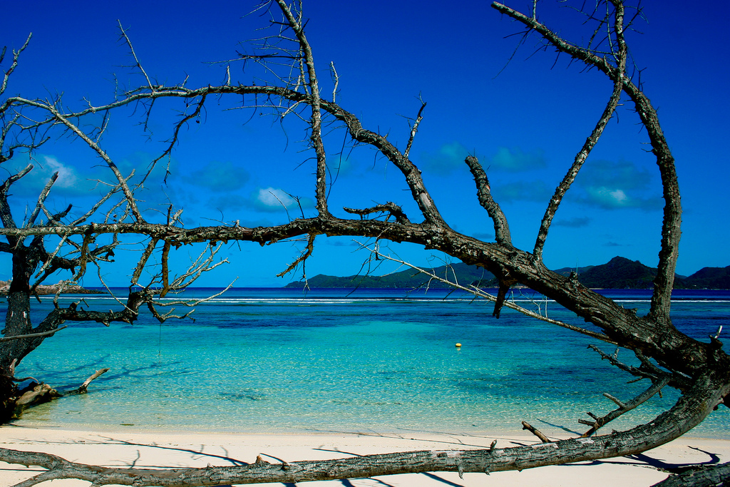 Пляж острова Ла Диг на Сейшельских островах, фото 3