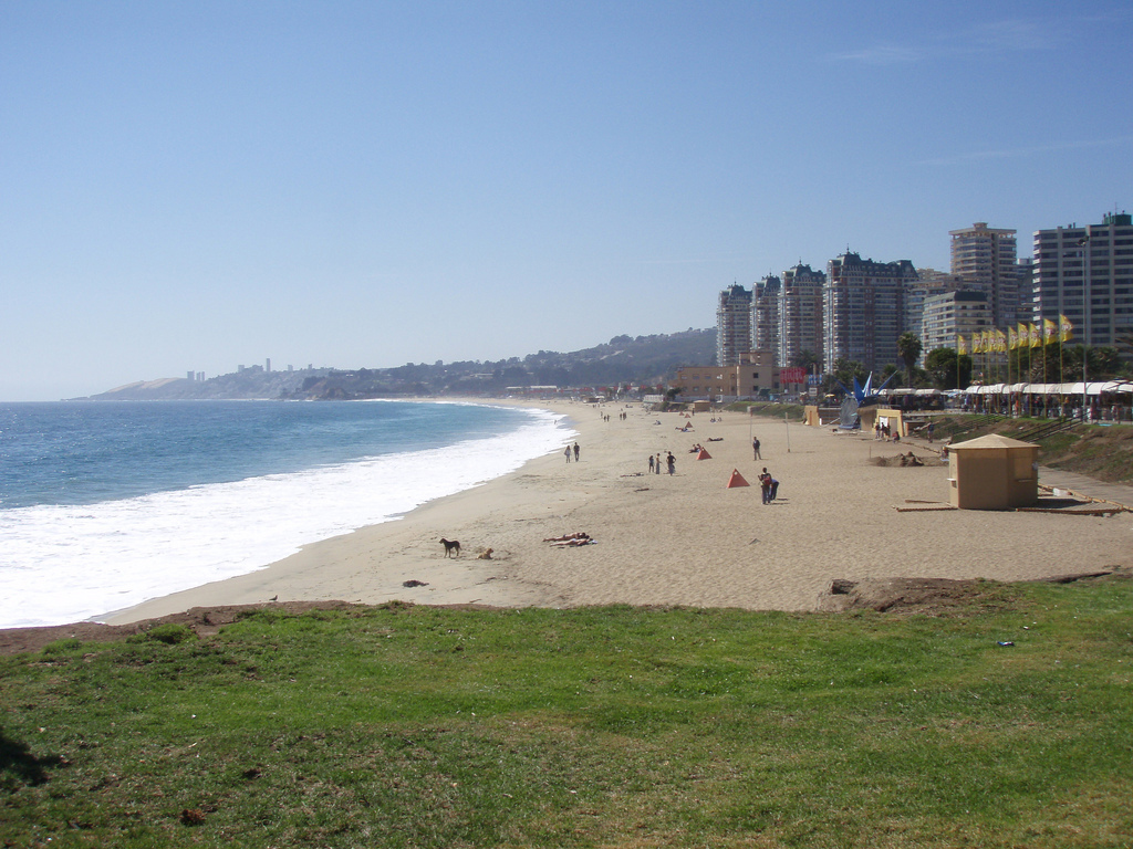 Пляж Винья-дель-Мар в Чили, фото 2