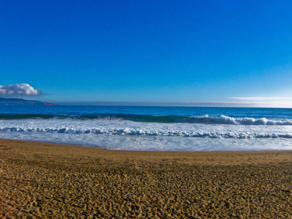 Пляж Винья-дель-Мар в Чили, фото 3