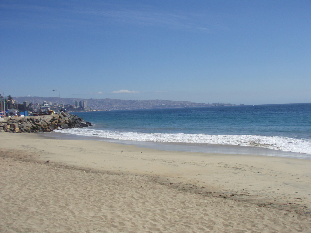 Пляж Винья-дель-Мар в Чили, фото 4