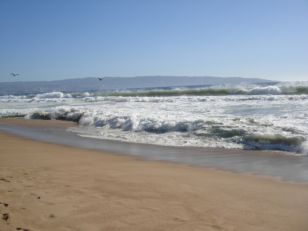 Пляж Винья-дель-Мар в Чили, фото 6