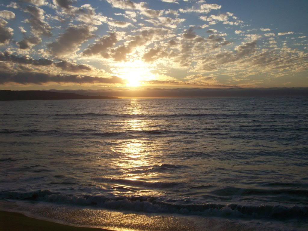 Пляж Винья-дель-Мар в Чили, фото 9