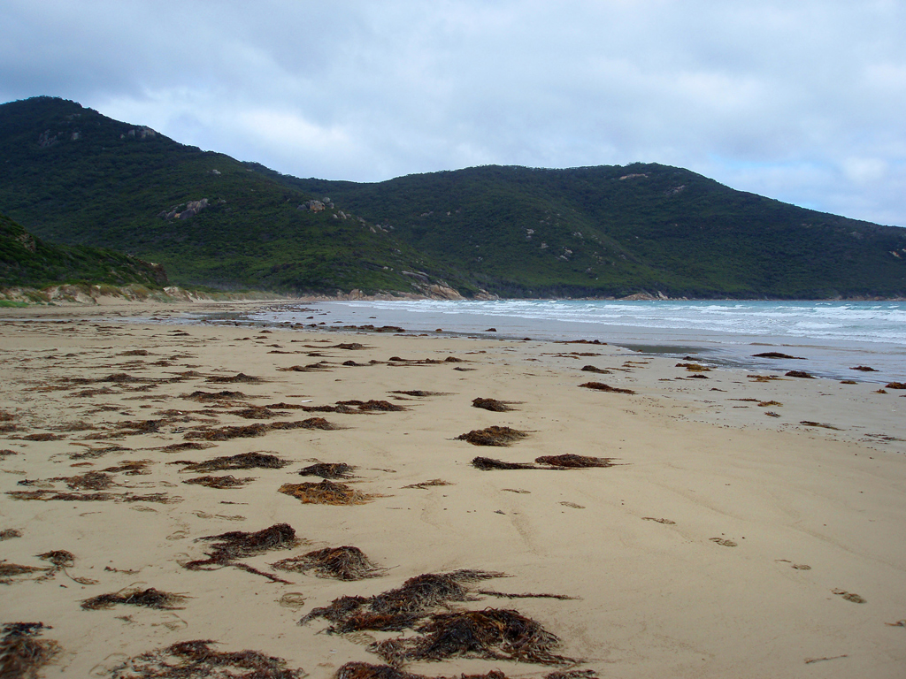 Пляж Оберон Бэй в Австралии, фото 2