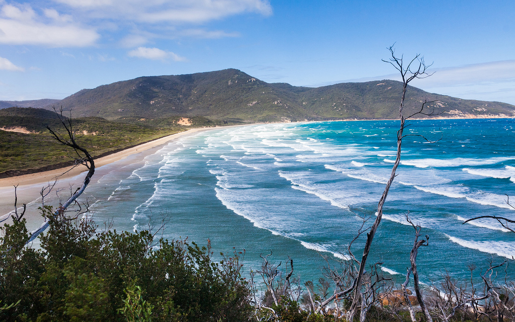 Пляж Оберон Бэй в Австралии, фото 10
