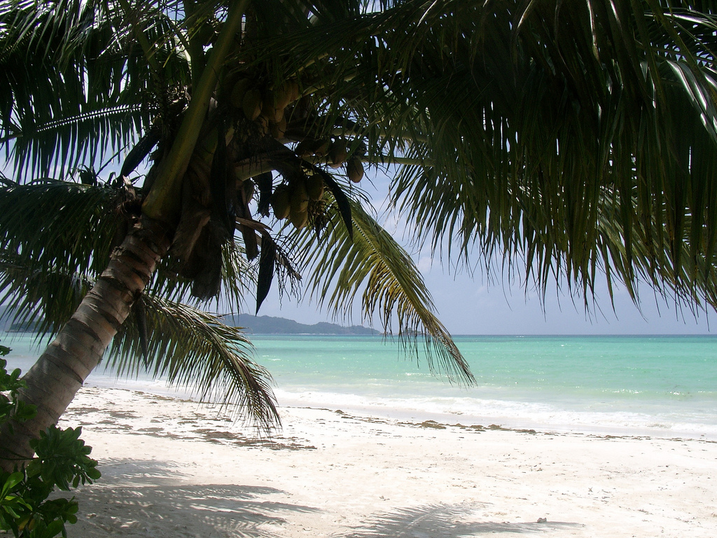 Пляж Анс Волберт на Сейшельских островах, фото 10