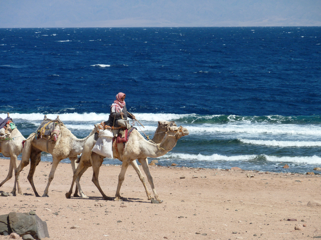 Пляж Дахаб в Египете, фото 4