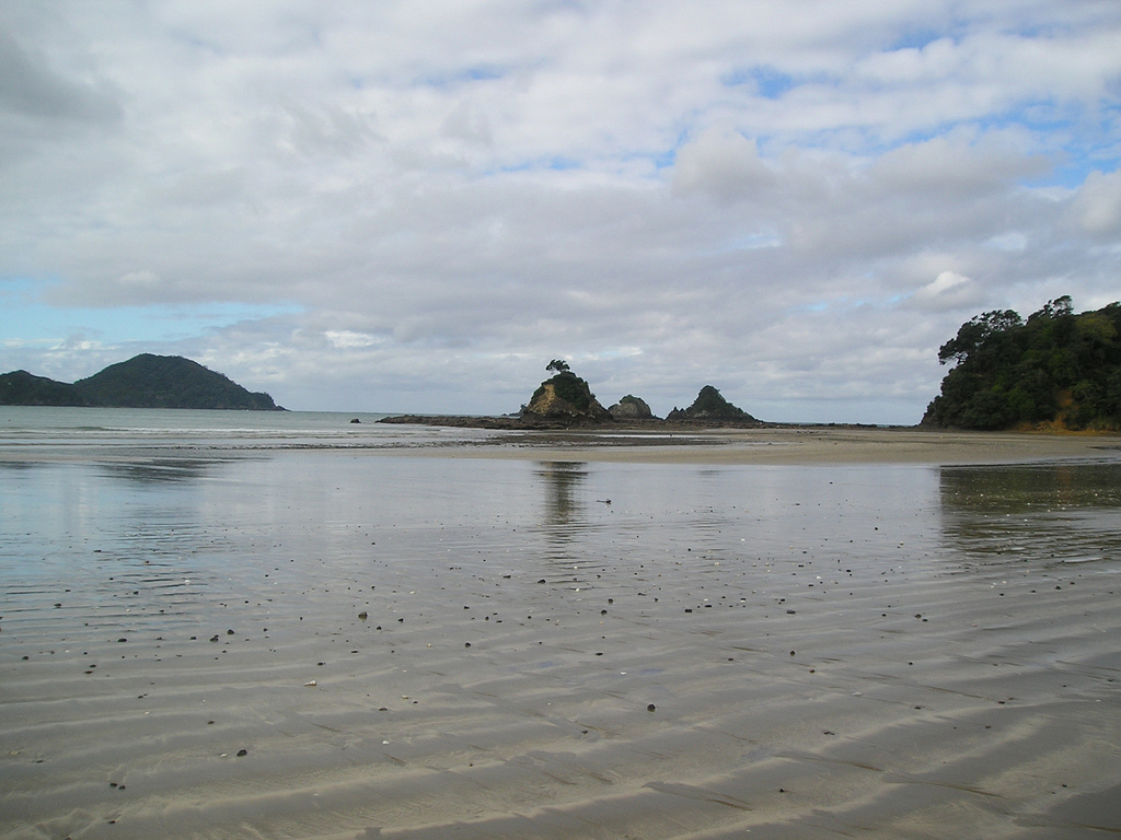 Пляж Оакура в Новой Зеландии, фото 4