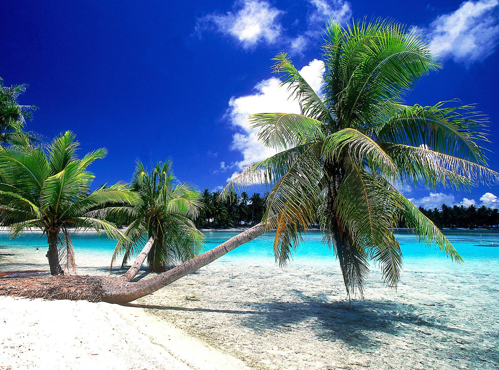 Пляж Атолл Рангироа во Французской Полинезии, фото 11