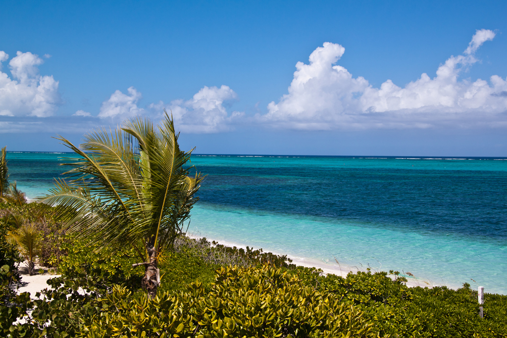 Пляж острова Провиденсиалес на Карибских островах, фото 4