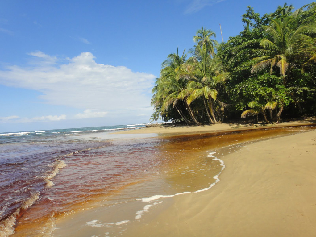 Пляж Пуэрто-Вьехо в Коста-Рике, фото 9