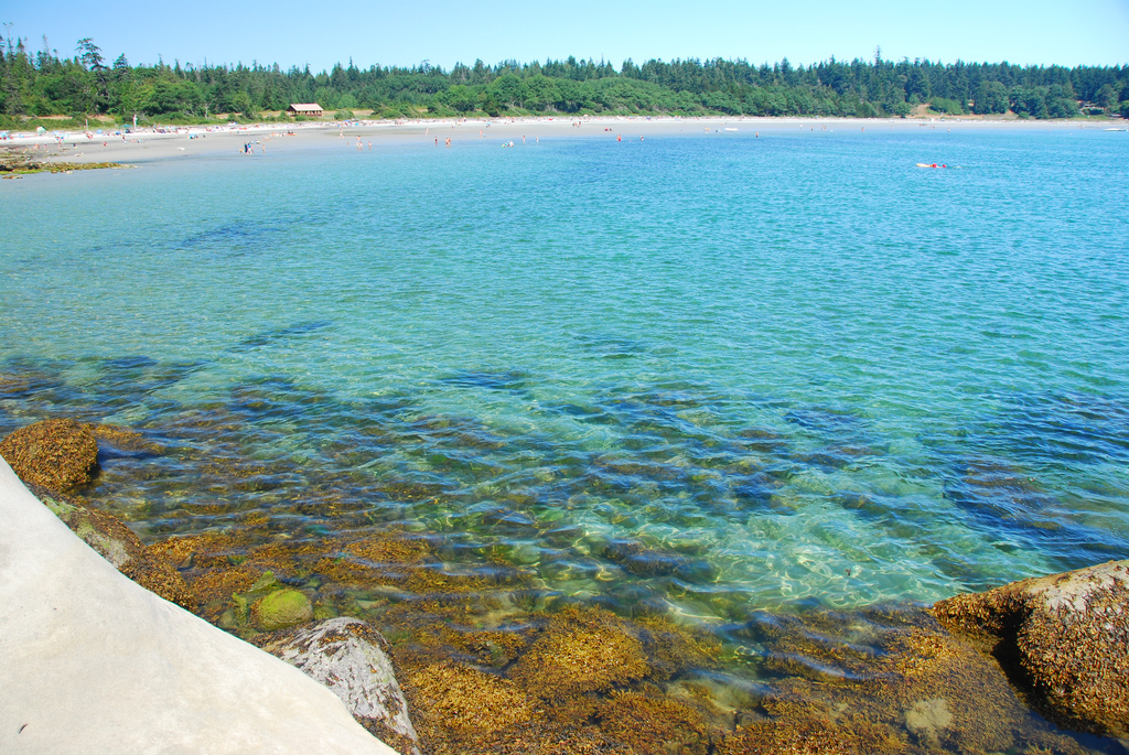 Пляж Трибьюн Бей в Канаде, фото 3
