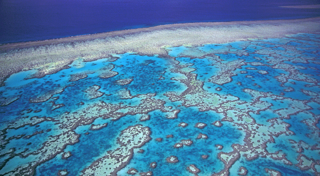 Пляж Большой Барьерный Риф в Австралии, фото 8