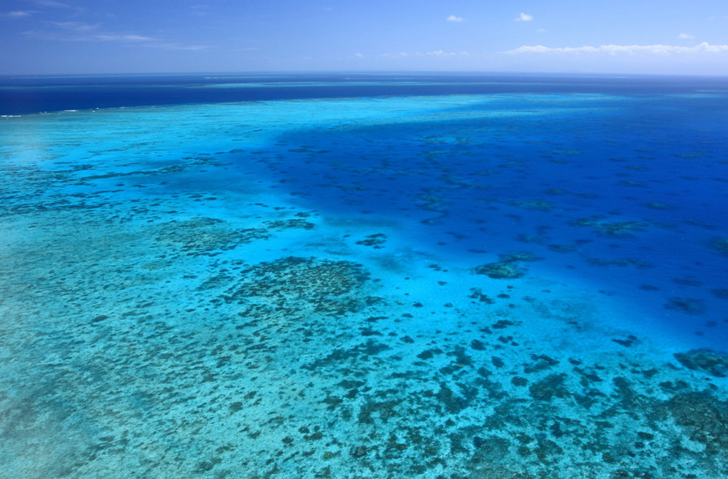Пляж Большой Барьерный Риф в Австралии, фото 9