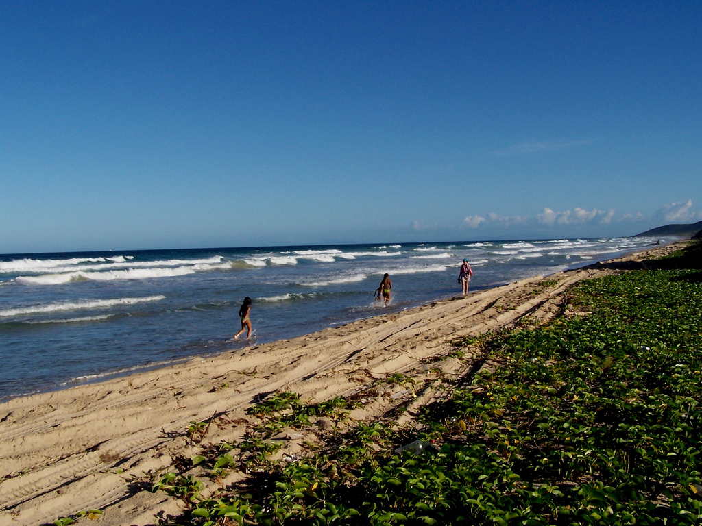 Пляж Плайя Гуакуко в Венесуэле, фото 4