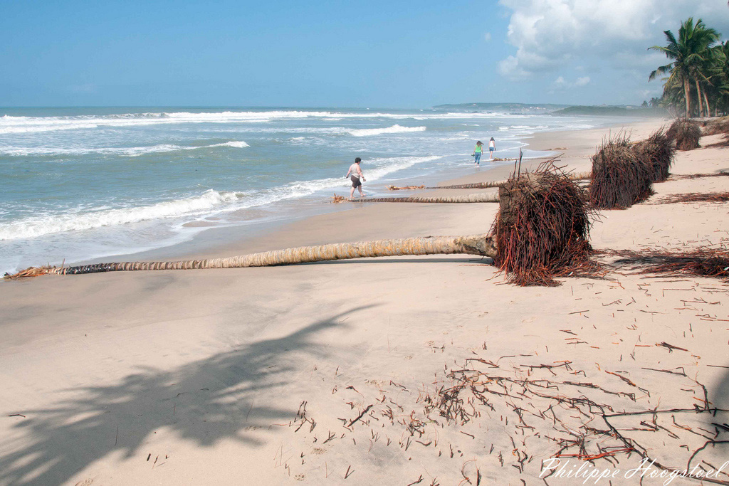 Пляж Аномабо в Гане, фото 1