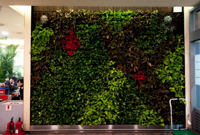 Все цветы на стенах в курительной комнате аэропорта Инчхон – живые и в отличном состоянии.