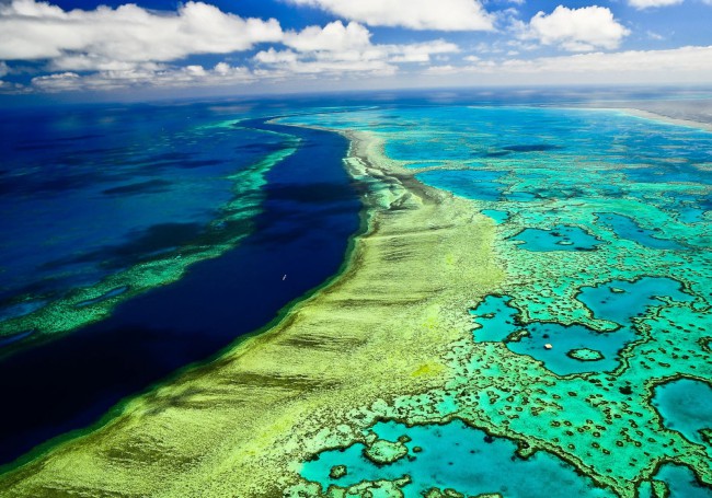 Это самый большой риф на планете, протянувшийся на 2500 километров вдоль австралийского побережья.