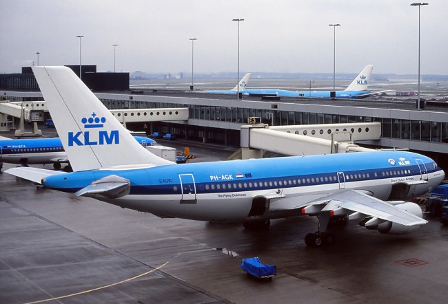 Нормы провоза багажа у нидерландской авиакомпании KLM