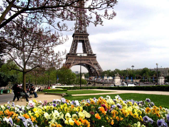 Просто мечта туриста: весна, цветы, Эйфелева башня…