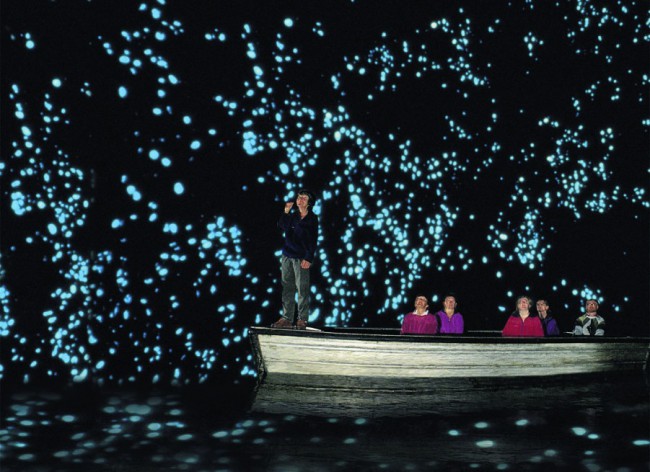 Светящиеся черви испускают фосфоресцирующий свет, который мерцает со сводов пещер, как звездная ночь.