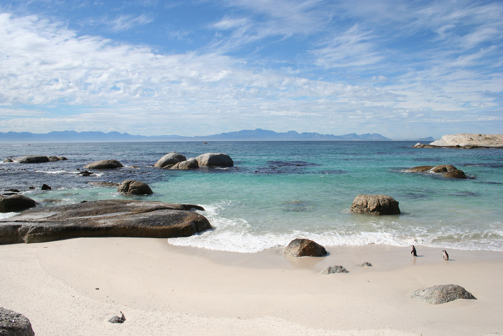 Пляж Боулдерс в ЮАР-е, фото 5