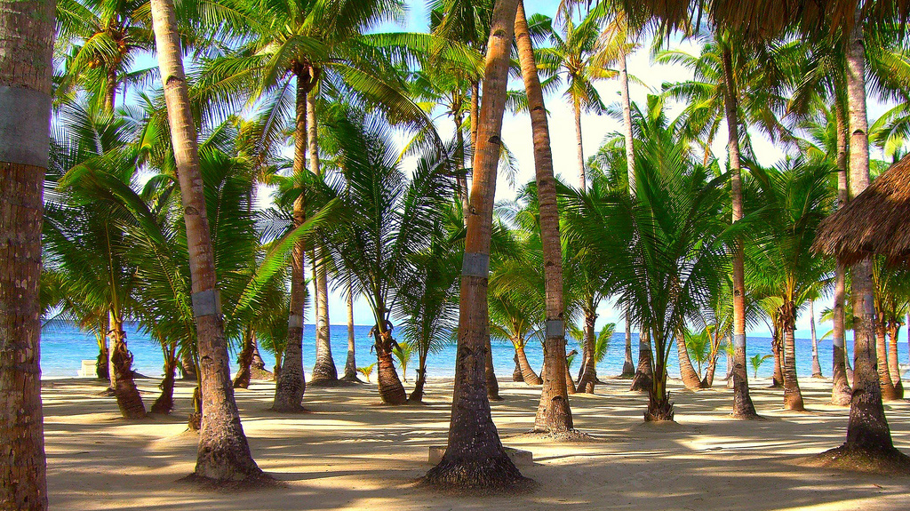 Пляж острова Бохол на Филиппинах, фото 1
