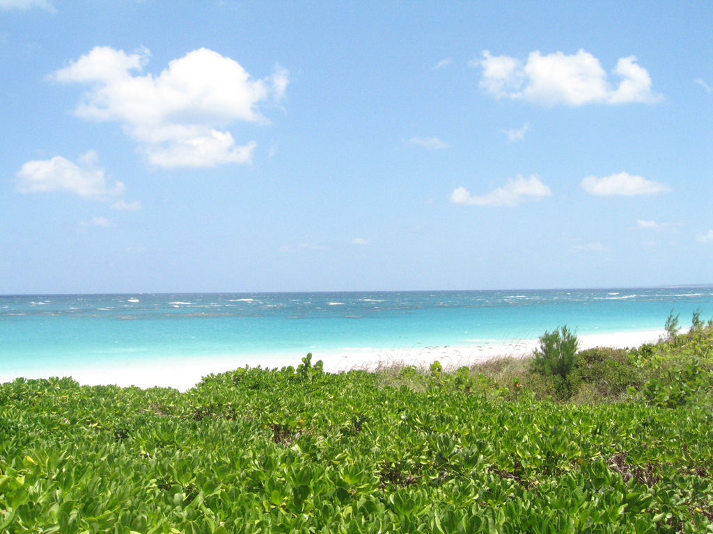 Пляж Харбор на Багамских островах, фото 6