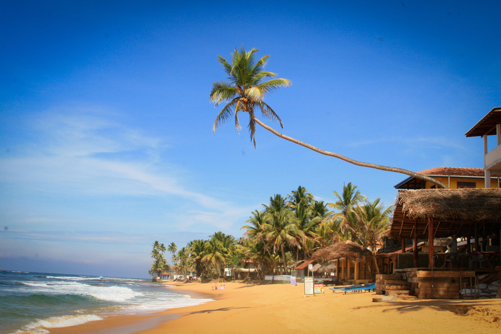 Пляж Хиккадува в Шри-Ланке, фото 4
