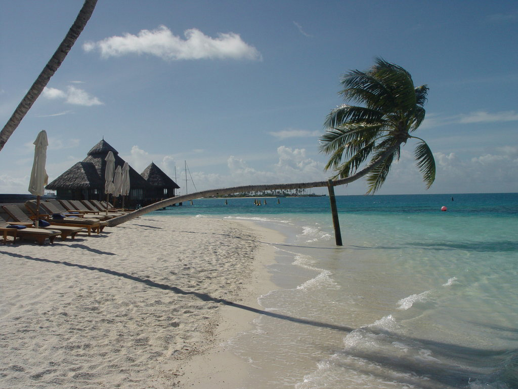 Пляж Конрад Рангали на Мальдивах, фото 7