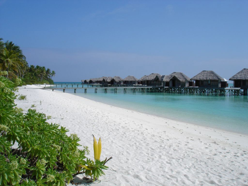 Пляж Конрад Рангали на Мальдивах, фото 19