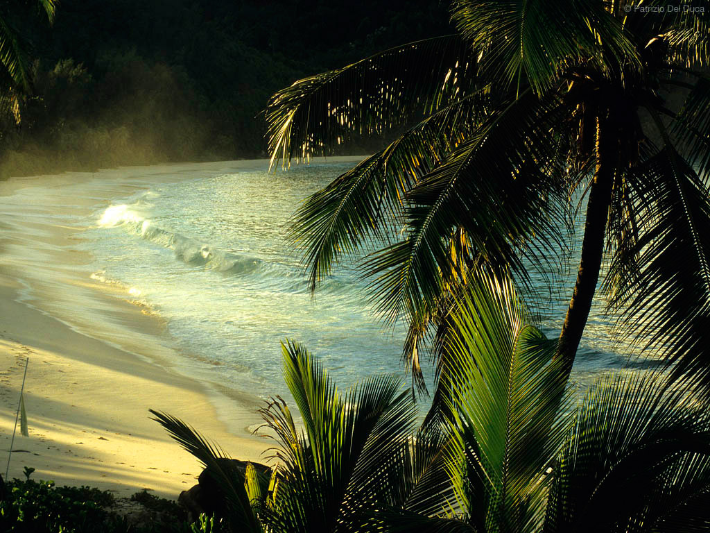 Пляж Анс Интенданс на Сейшельских Островах, фото 1