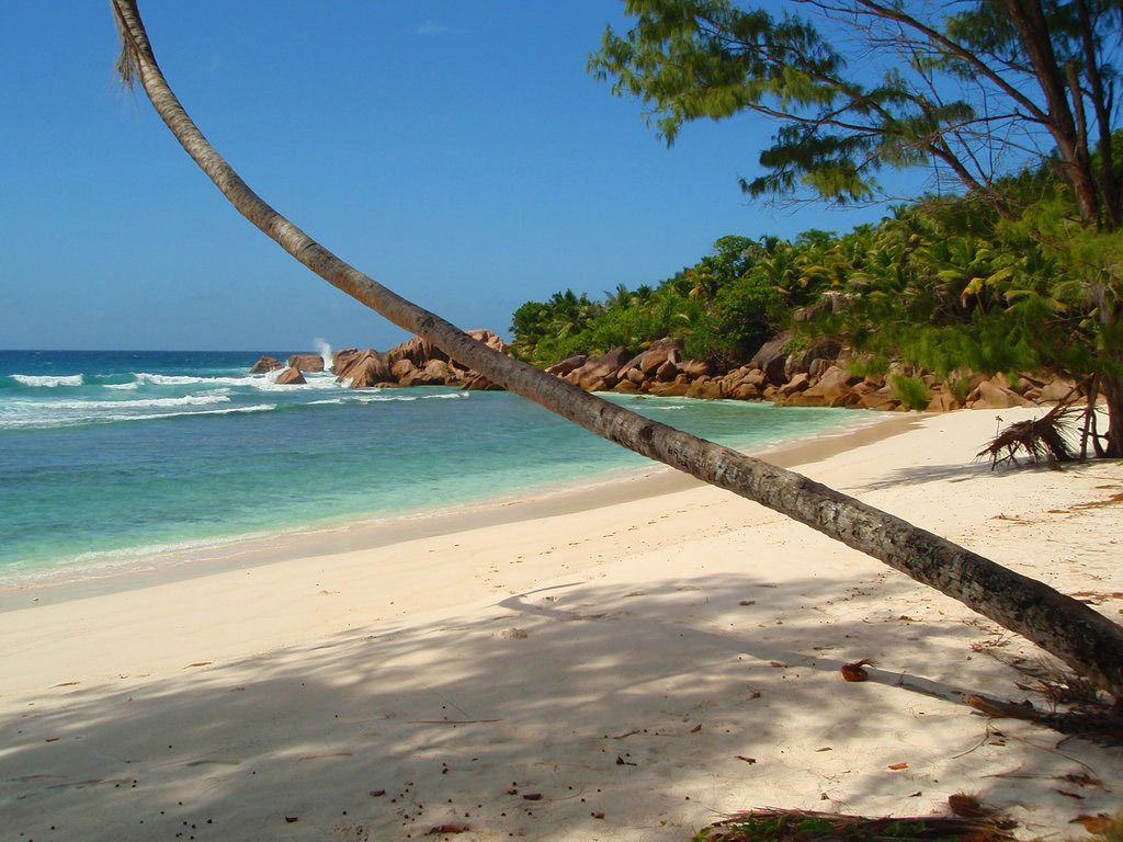 Пляж Анс Кокос на Сейшелах, фото 10