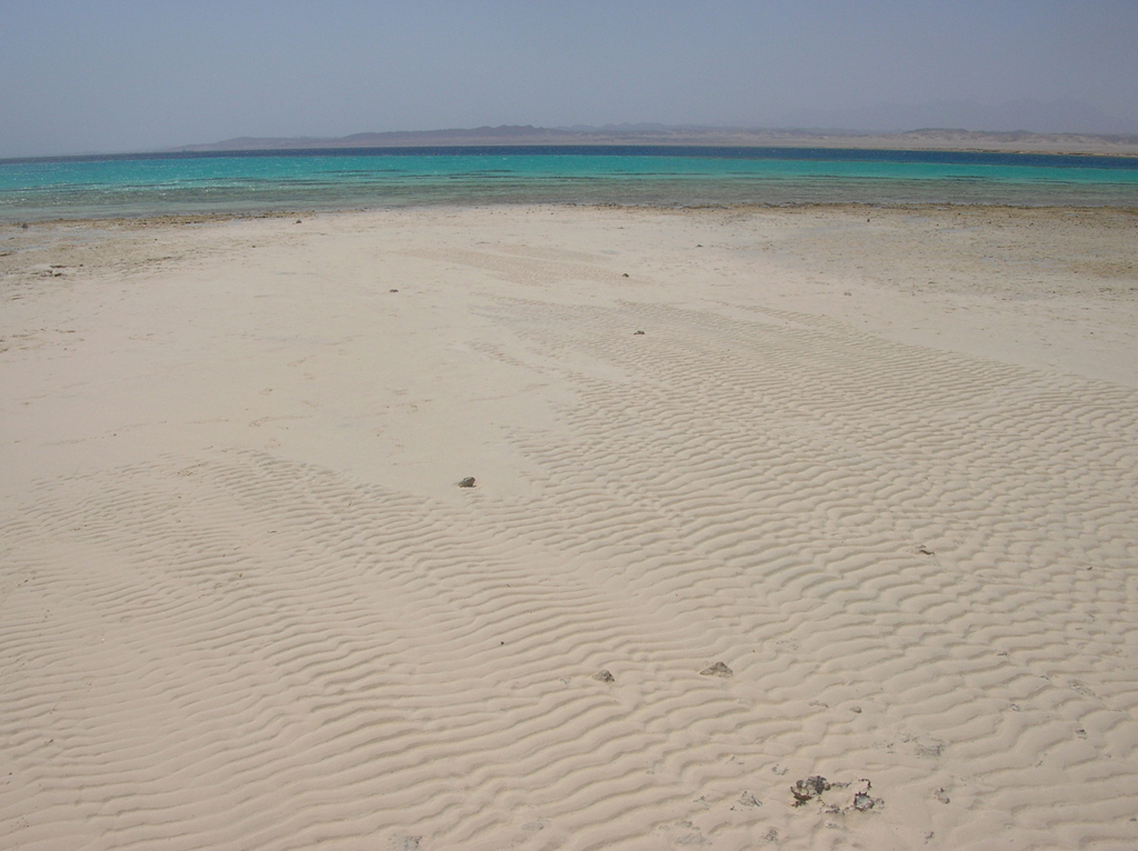Пляж Марса-Алам в Египете, фото 7