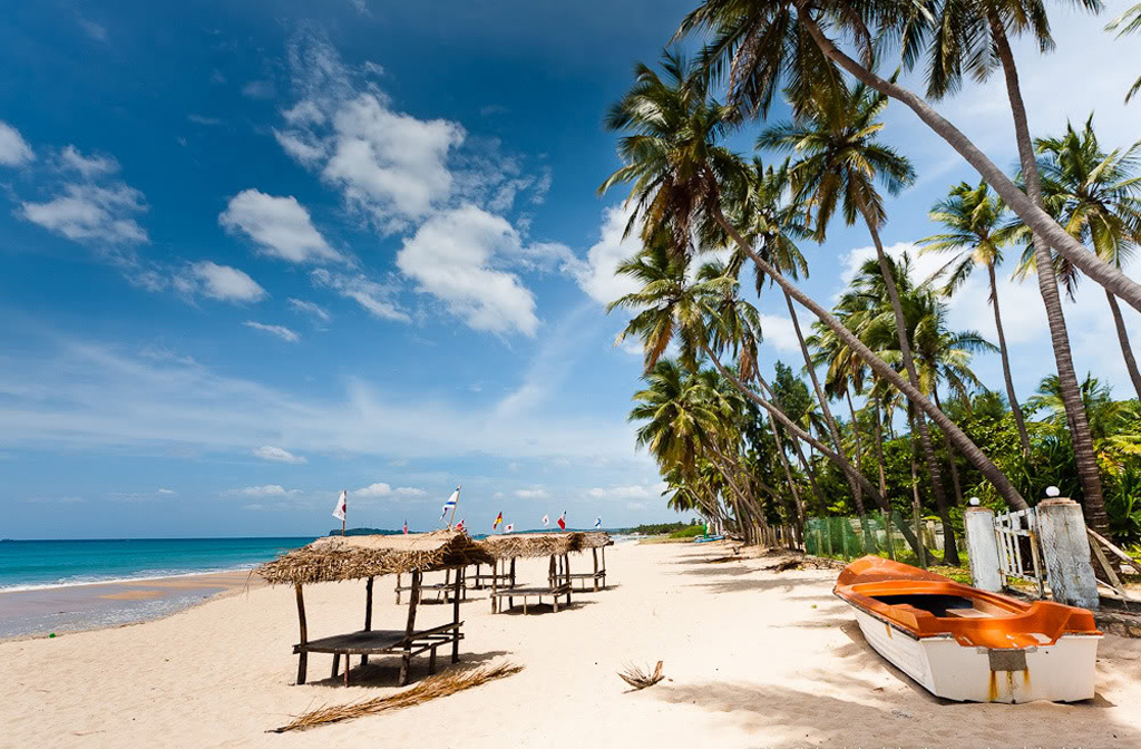 Пляж Тринкомале в Шри-Ланке, фото 12
