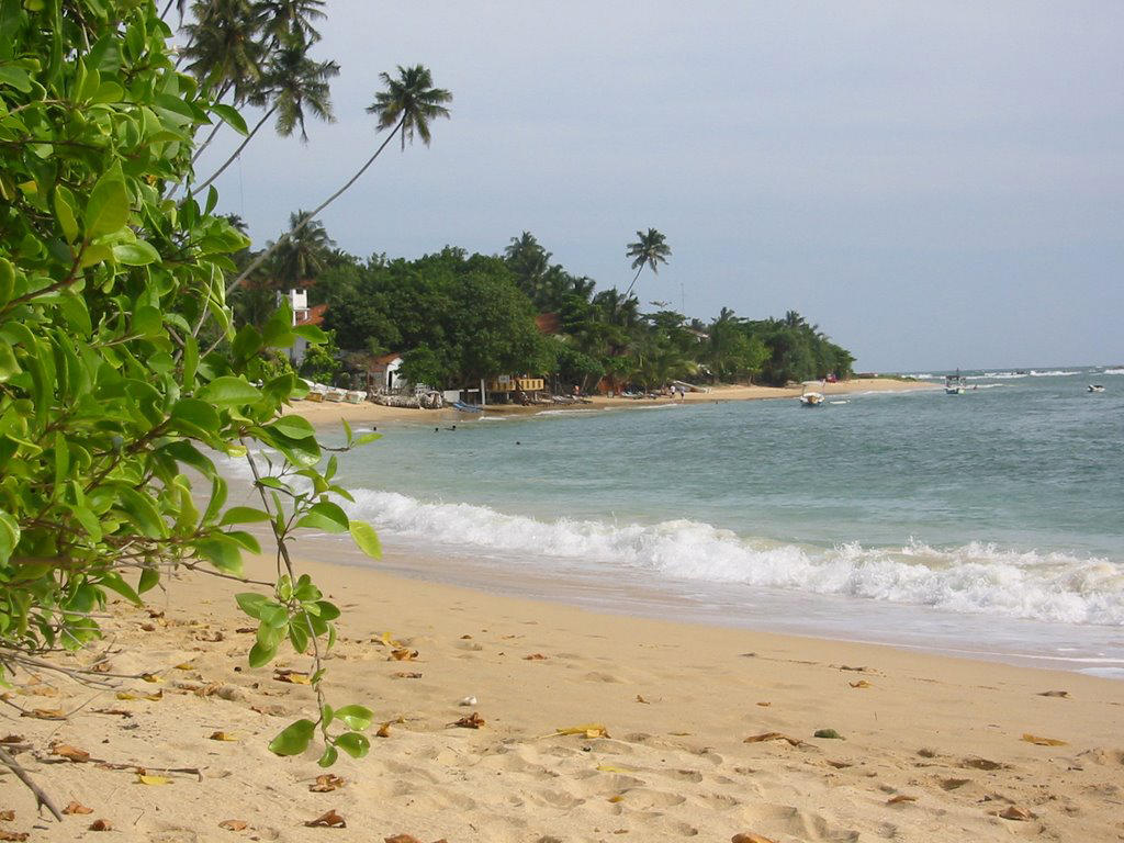 Пляж Унаватуна в Шри-Ланке, фото 15