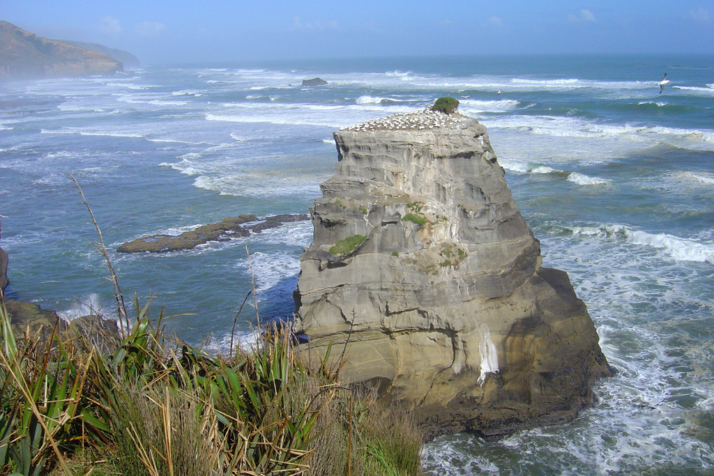 Пляж Муриваи в Новой Зеландии, фото 5