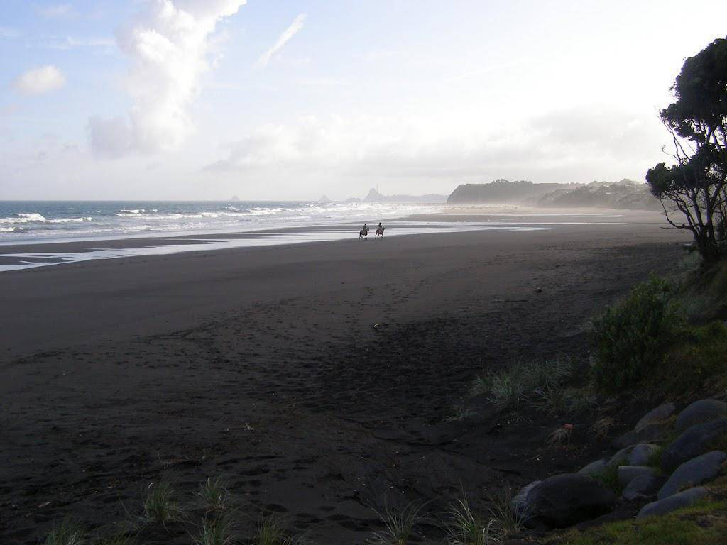 Пляж Оакура в Новой Зеландии, фото 3