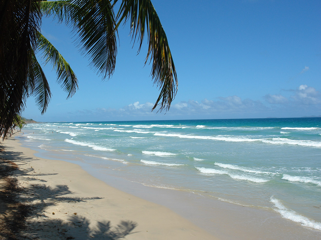 Пляж Плайя Эль Яке в Венесуэле, фото 3