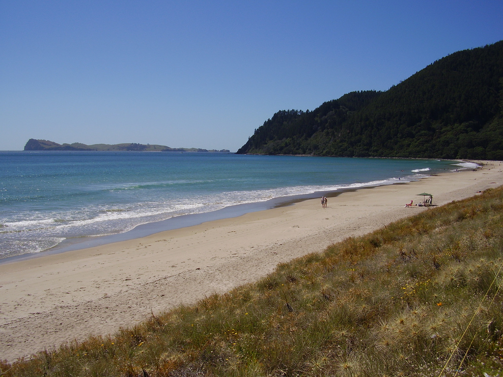 Пляж Пауануи в Новой Зеландии, фото 5