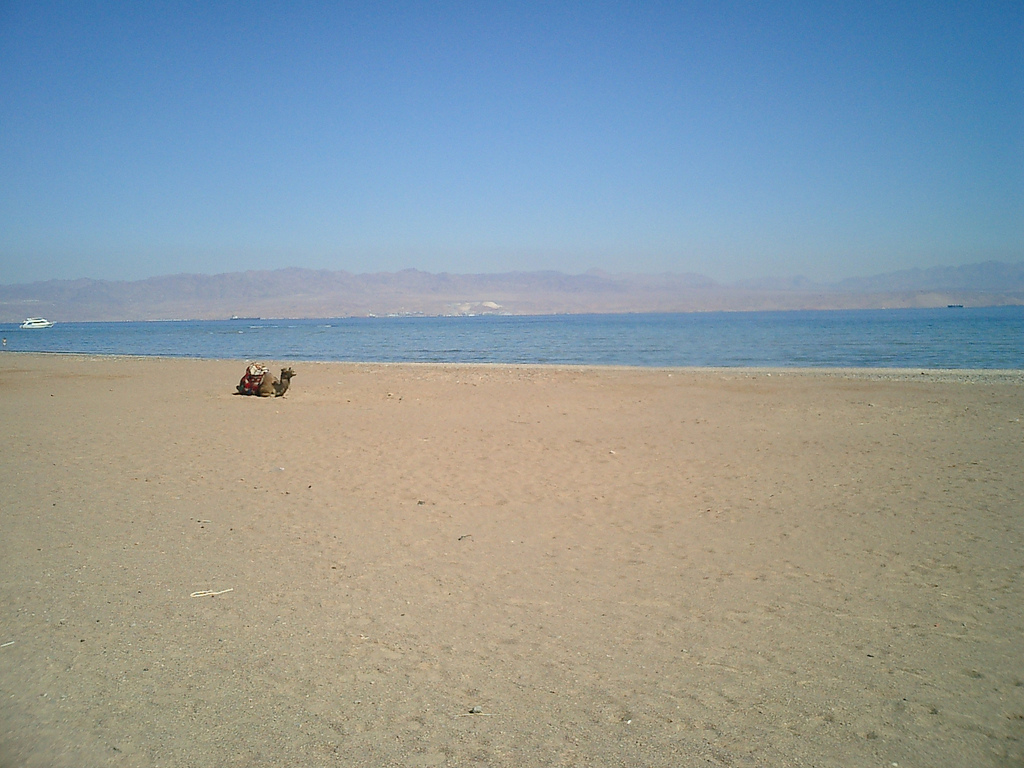 Пляж Таба в Египете, фото 3