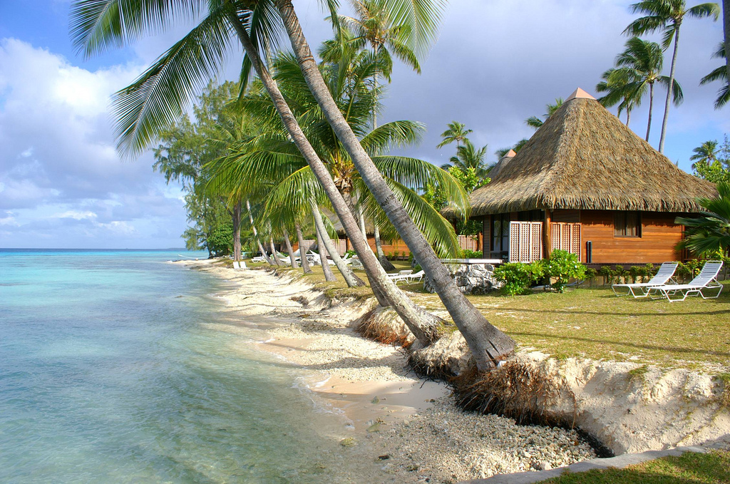 Пляж Атолл Рангироа во Французской Полинезии, фото 14