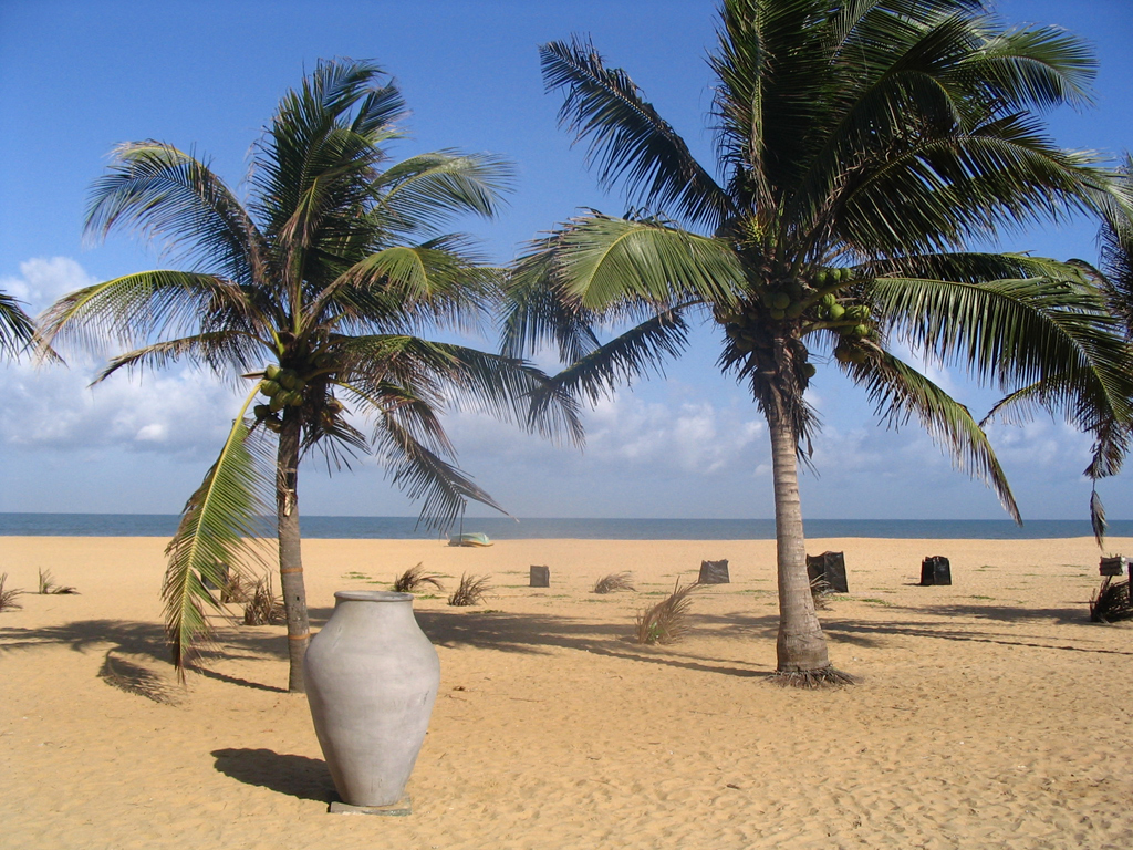 Пляж Негомбо Ко в Шри-Ланке, фото 7