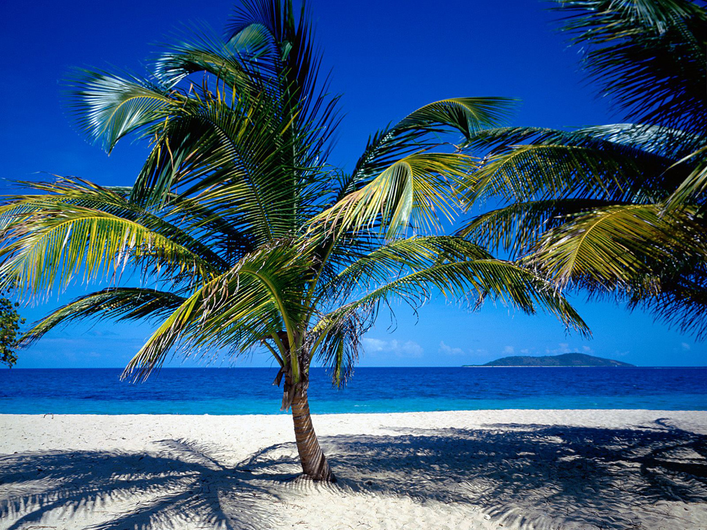 Пляж острова Сент-Крой на Американских Виргинских островах, фото 3